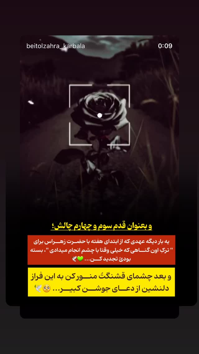  جدید ترین استوری اینستاگرام موکب بیت الزهرا