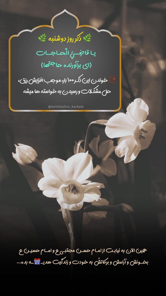 جدید ترین استوری اینستاگرام موکب بیت الزهرا
