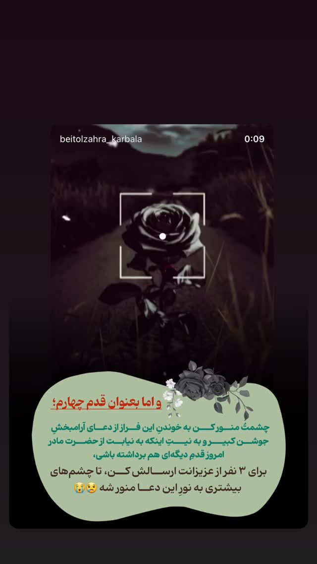  جدید ترین استوری اینستاگرام موکب بیت الزهرا