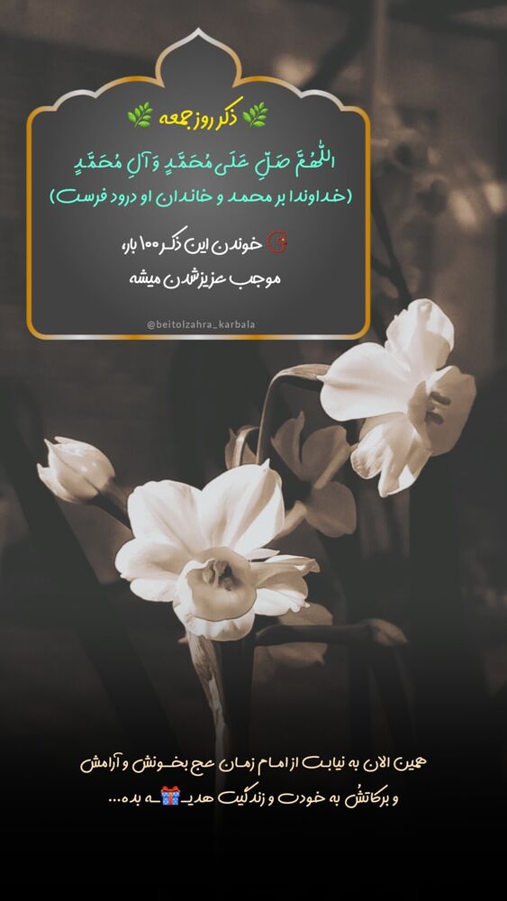  جدید ترین استوری اینستاگرام موکب بیت الزهرا
