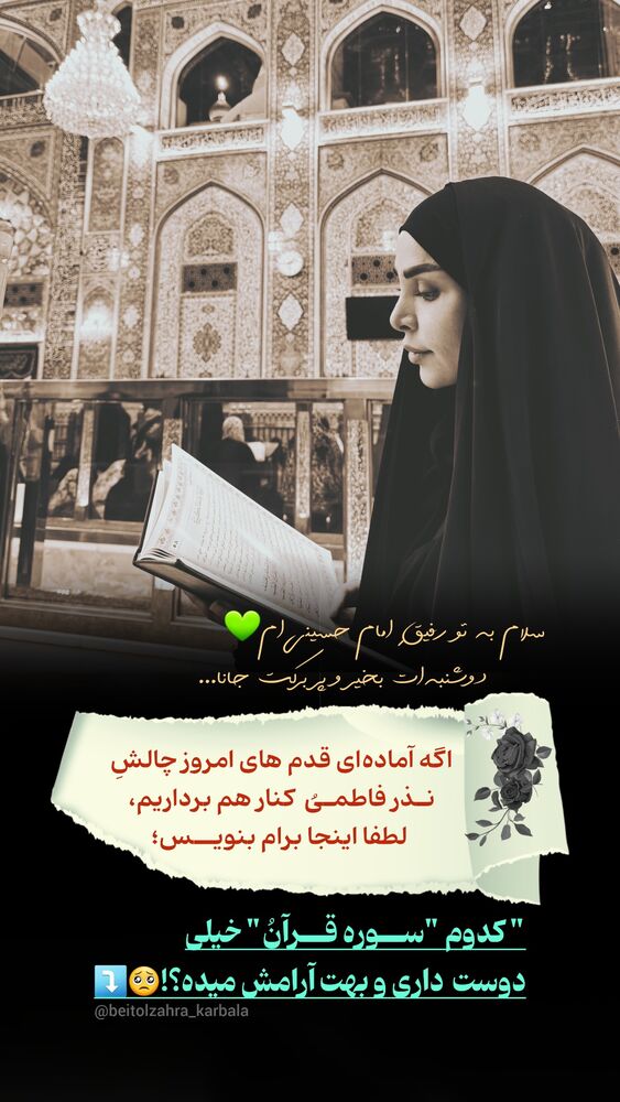  جدید ترین استوری اینستاگرام موکب بیت الزهرا