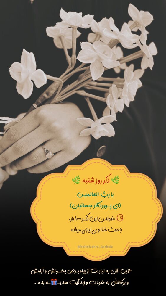  جدید ترین استوری اینستاگرام موکب بیت الزهرا