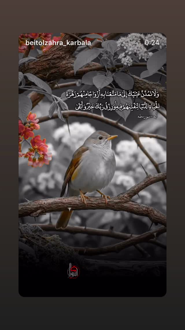 جدید ترین استوری اینستاگرام موکب بیت الزهرا
