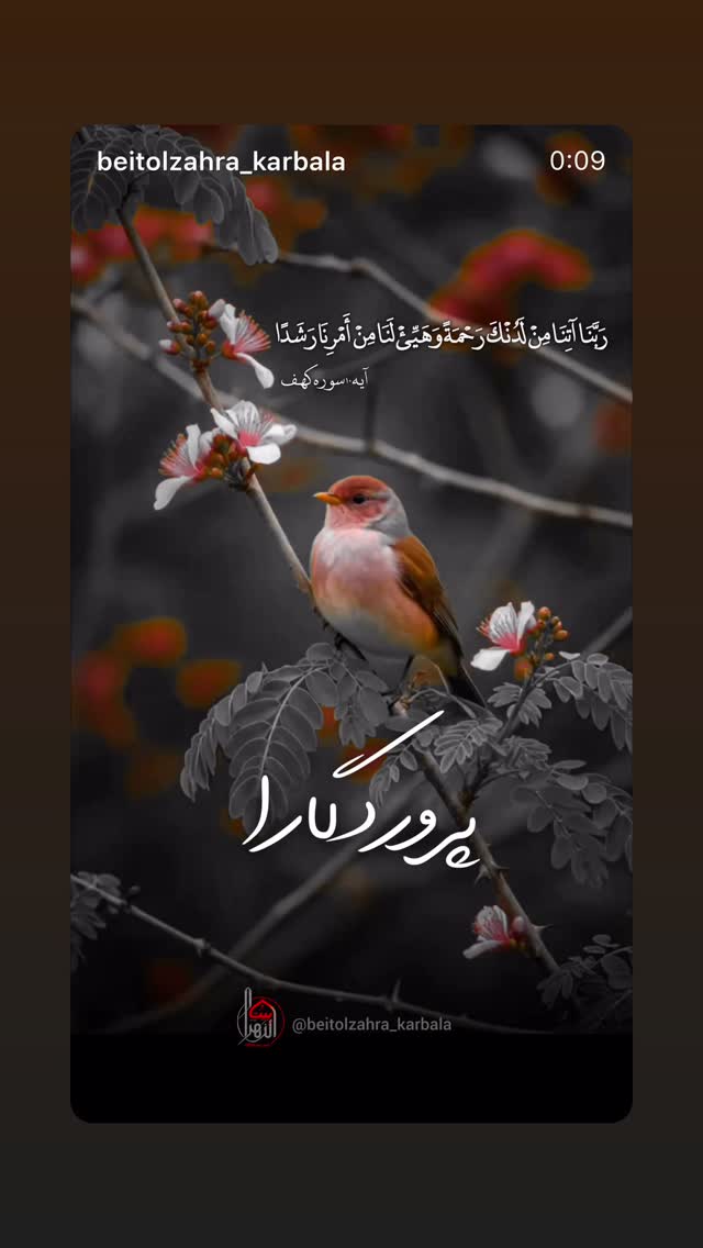  جدید ترین استوری اینستاگرام موکب بیت الزهرا