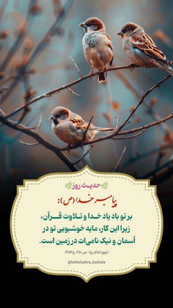  جدید ترین استوری اینستاگرام موکب بیت الزهرا