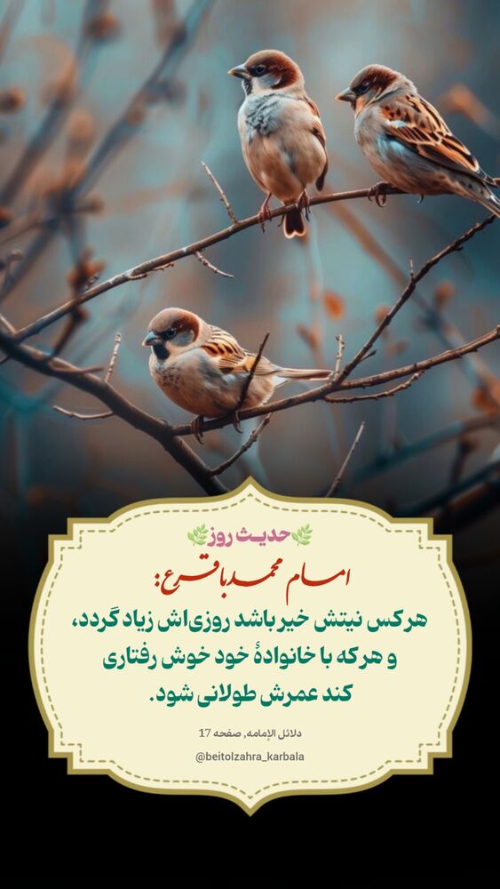  جدید ترین استوری اینستاگرام موکب بیت الزهرا