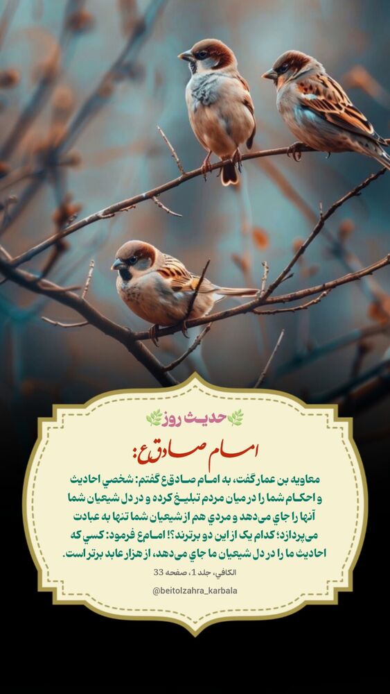  جدید ترین استوری اینستاگرام موکب بیت الزهرا
