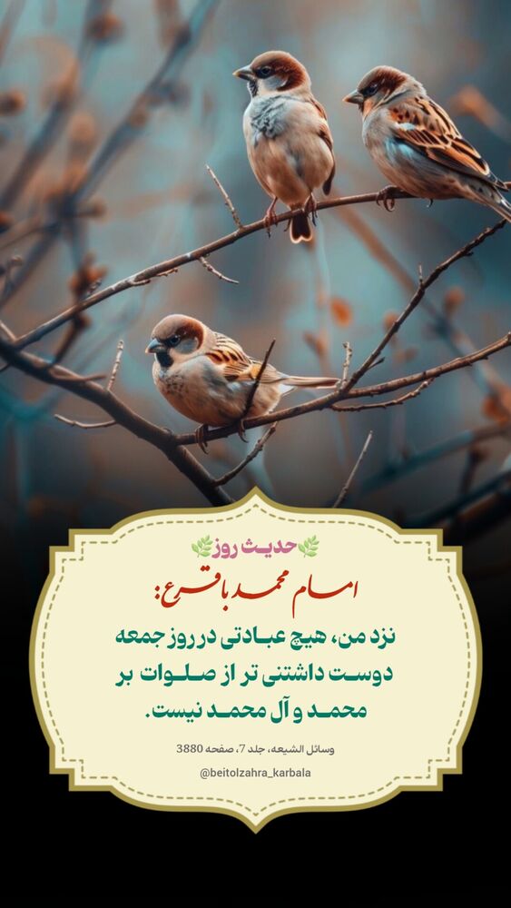  جدید ترین استوری اینستاگرام موکب بیت الزهرا