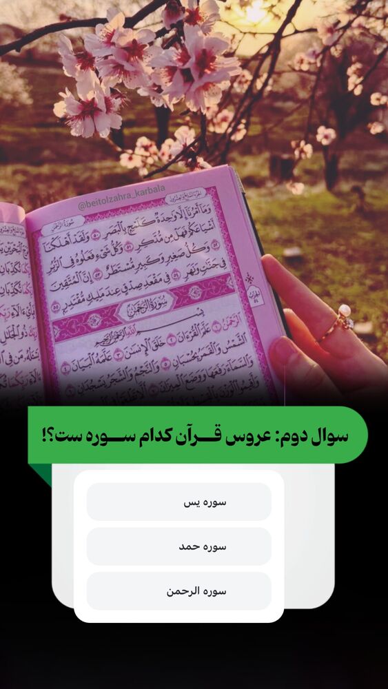  جدید ترین استوری اینستاگرام موکب بیت الزهرا