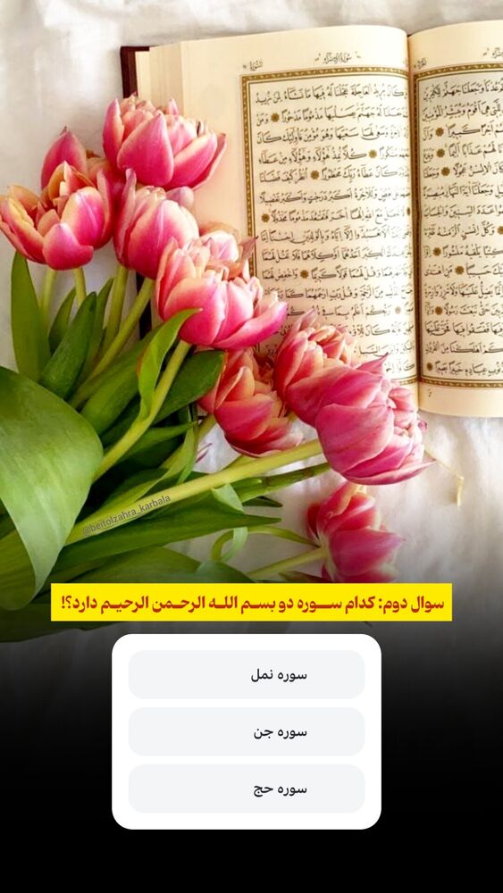  جدید ترین استوری اینستاگرام موکب بیت الزهرا