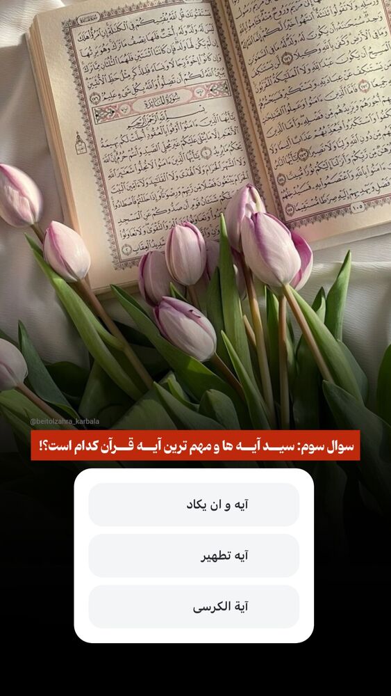  جدید ترین استوری اینستاگرام موکب بیت الزهرا