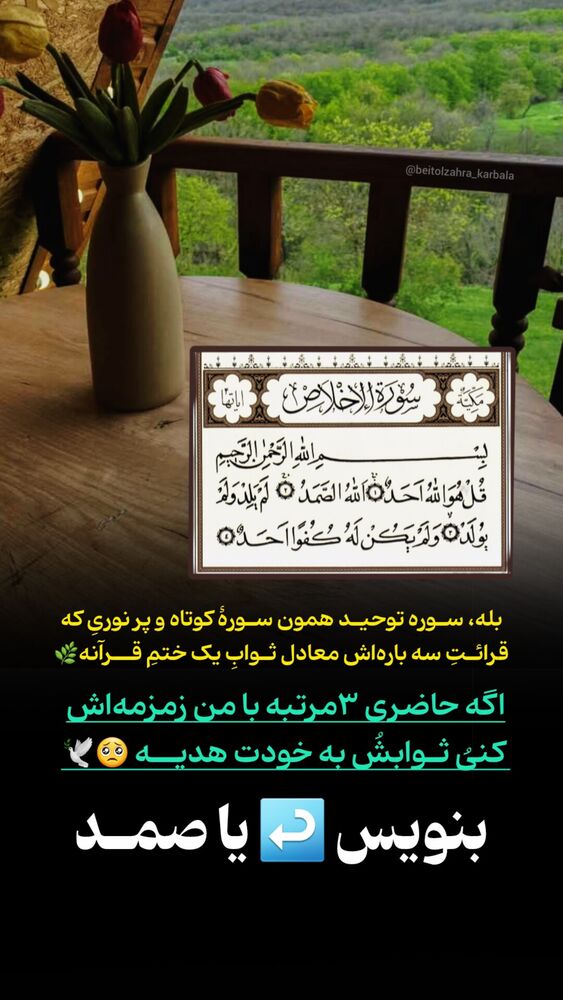  جدید ترین استوری اینستاگرام موکب بیت الزهرا