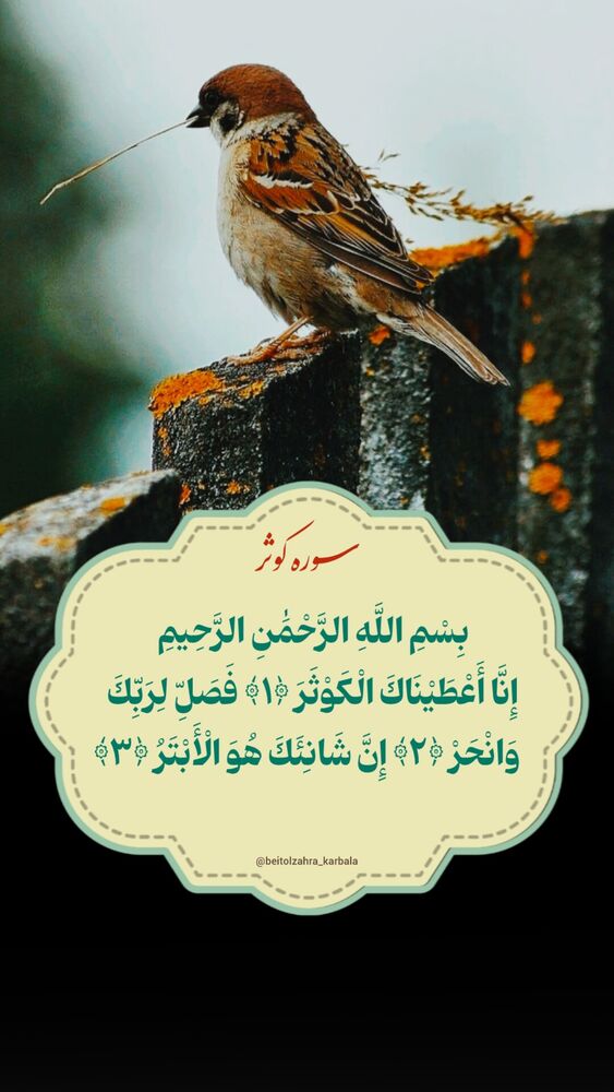  جدید ترین استوری اینستاگرام موکب بیت الزهرا