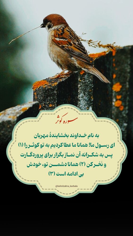  جدید ترین استوری اینستاگرام موکب بیت الزهرا