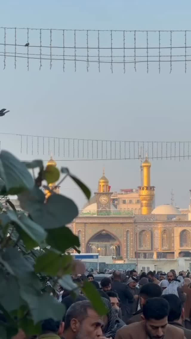  جدید ترین استوری اینستاگرام موکب بیت الزهرا