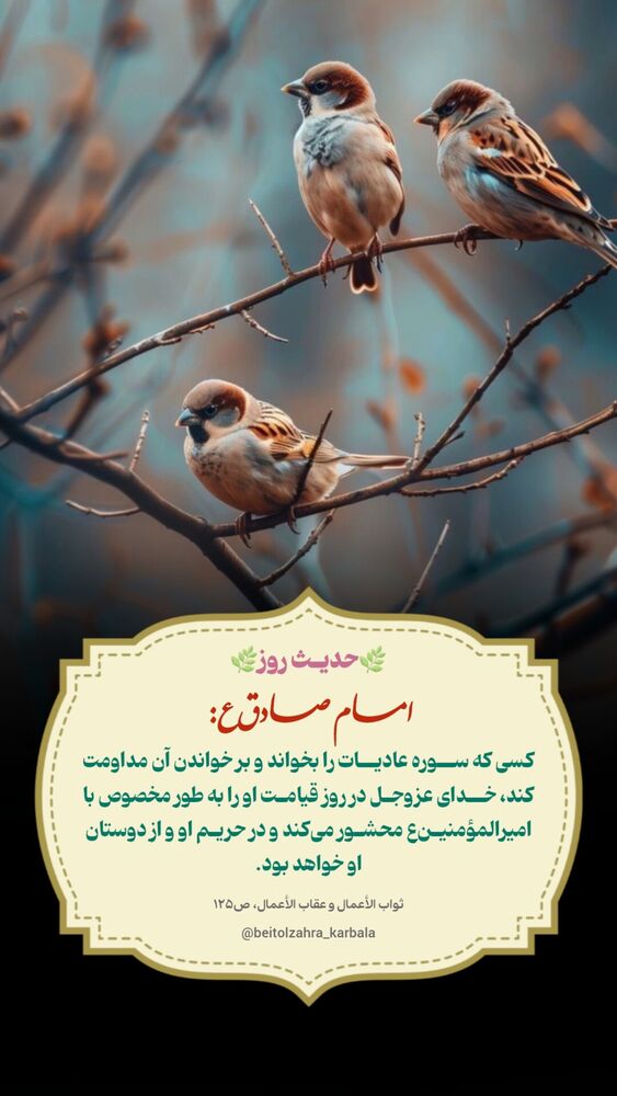  جدید ترین استوری اینستاگرام موکب بیت الزهرا
