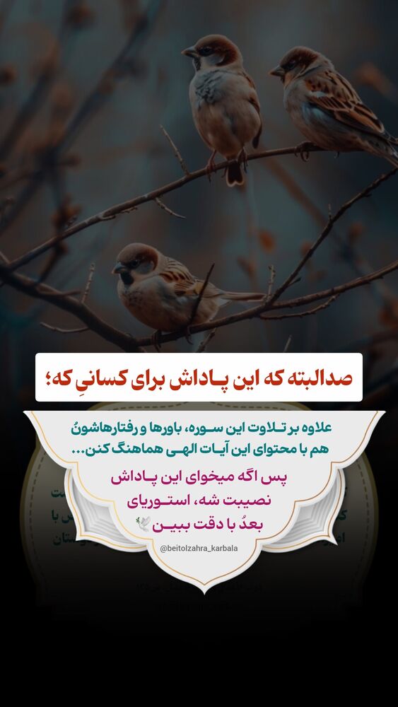  جدید ترین استوری اینستاگرام موکب بیت الزهرا