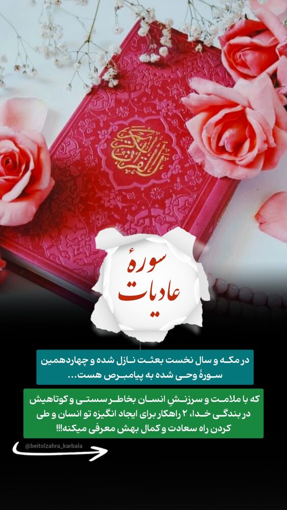  جدید ترین استوری اینستاگرام موکب بیت الزهرا