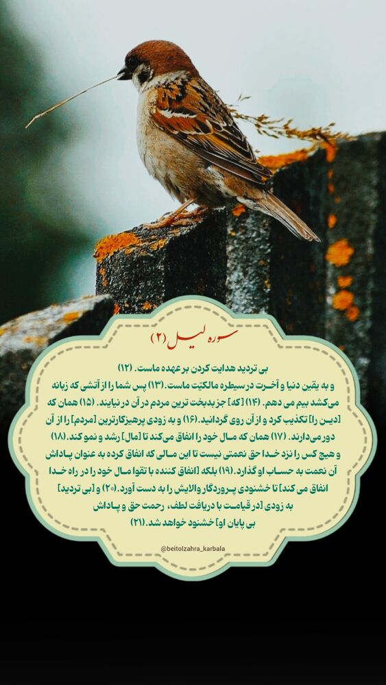  جدید ترین استوری اینستاگرام موکب بیت الزهرا