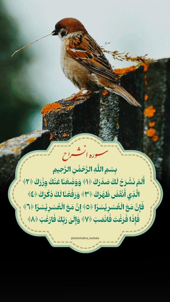  جدید ترین استوری اینستاگرام موکب بیت الزهرا