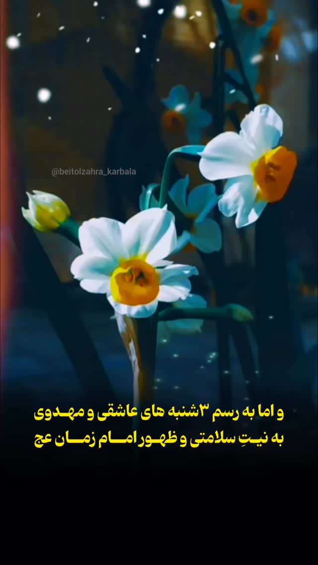  جدید ترین استوری اینستاگرام موکب بیت الزهرا
