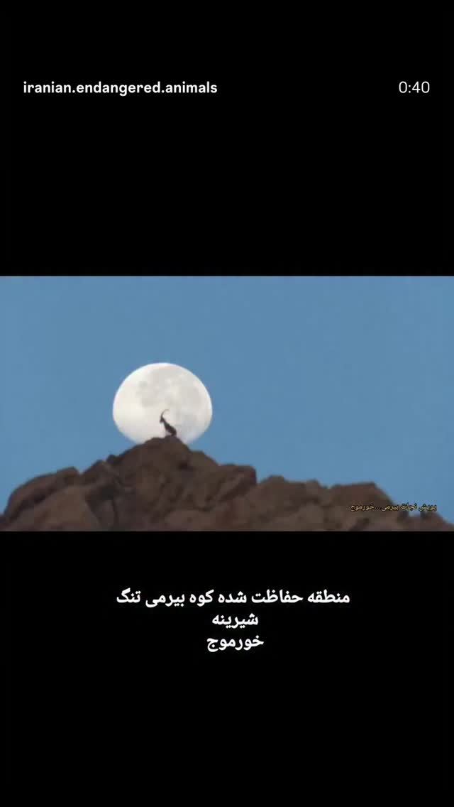  جدید ترین استوری اینستاگرام بیژن بنفشه خواه
