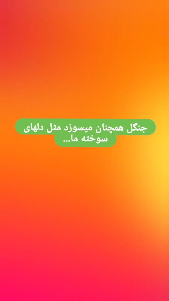  جدید ترین استوری اینستاگرام بیژن بیرنگ