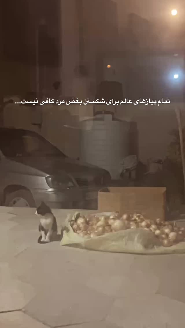  جدید ترین استوری اینستاگرام بلک فری