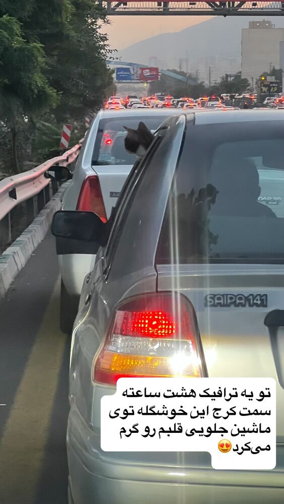  جدید ترین استوری اینستاگرام بزرگمهر حسین پور