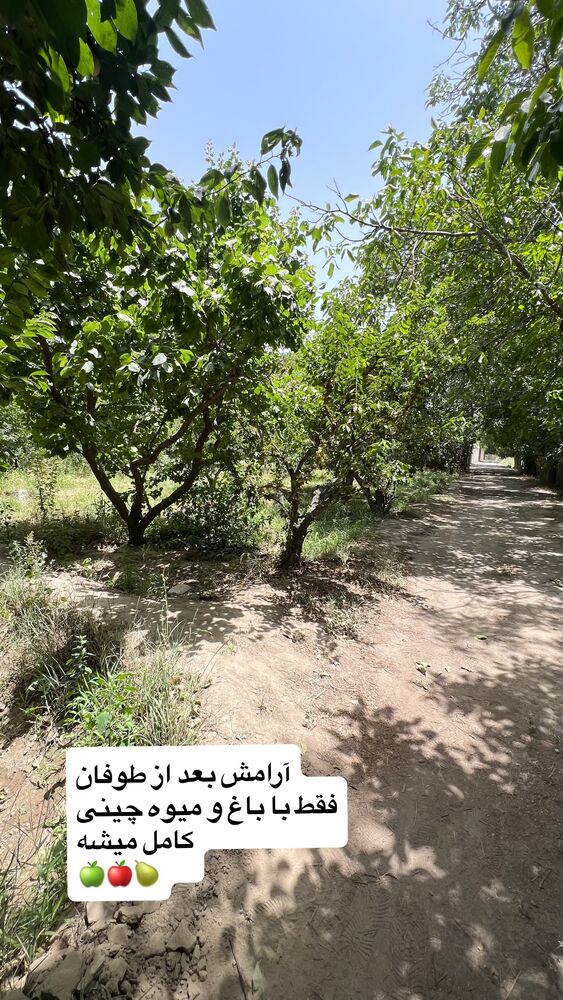  جدید ترین استوری اینستاگرام بزرگمهر حسین پور