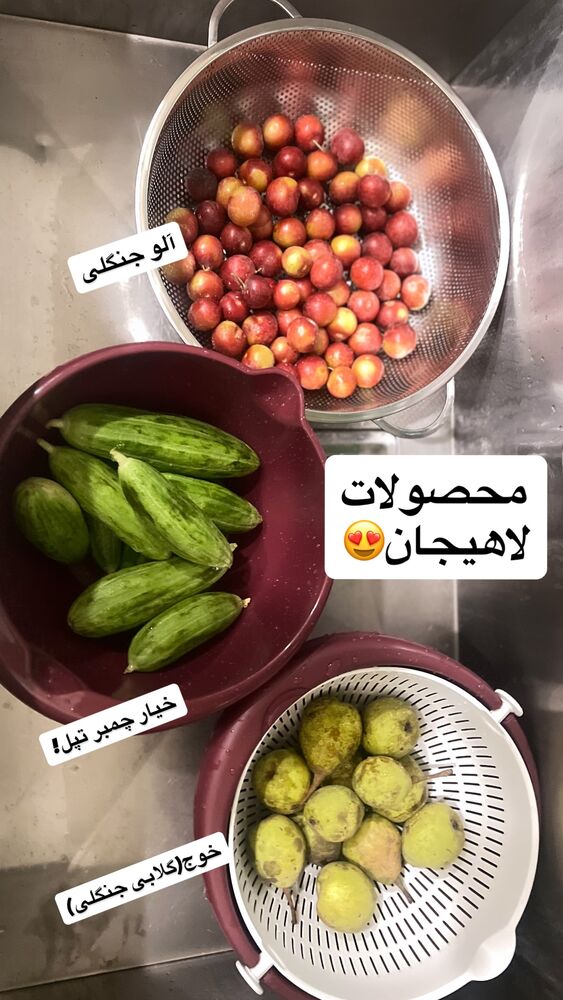  جدید ترین استوری اینستاگرام بزرگمهر حسین پور