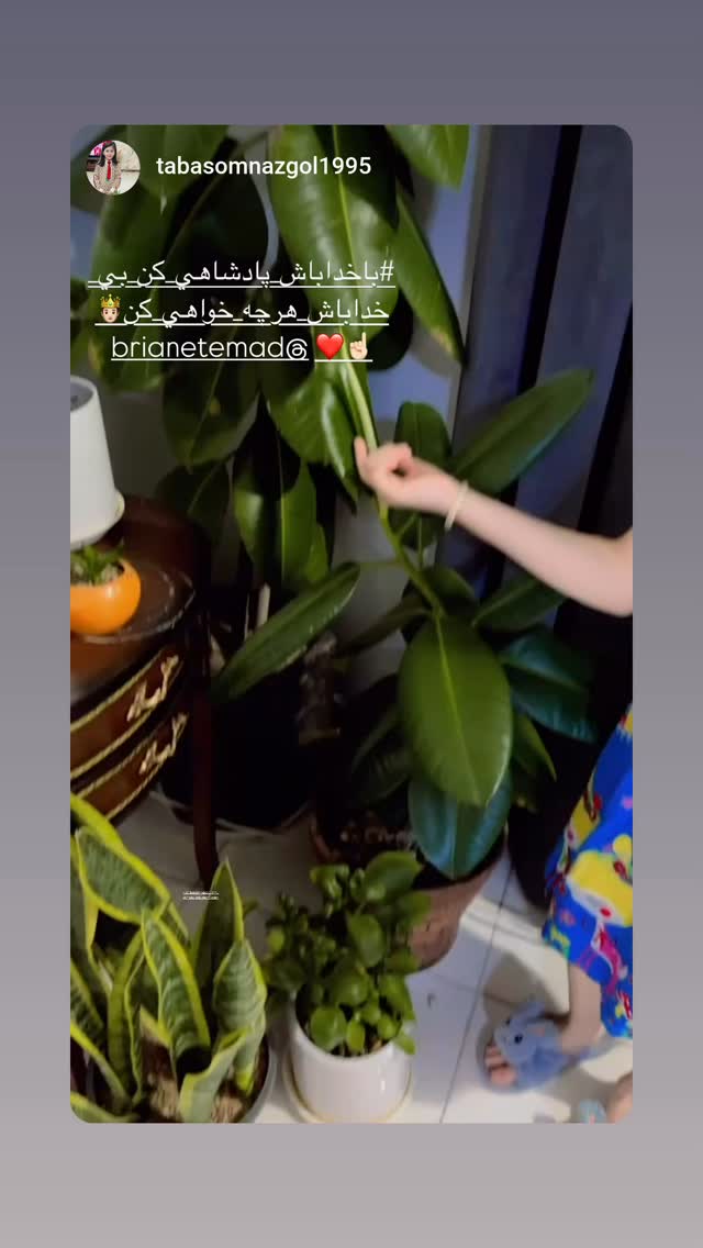  جدید ترین استوری اینستاگرام برایان اعتماد