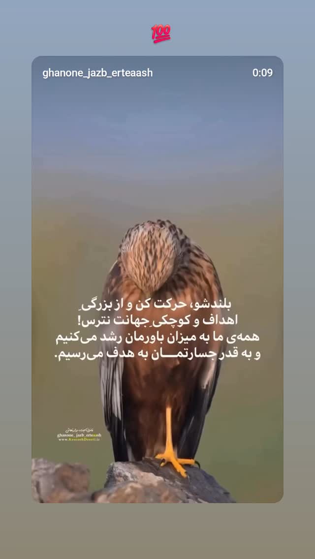  جدید ترین استوری اینستاگرام برایان اعتماد