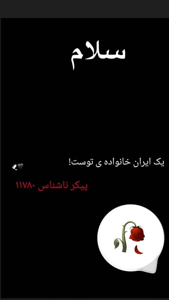  جدید ترین استوری اینستاگرام سرور مادر سلین (خانواده سلین)