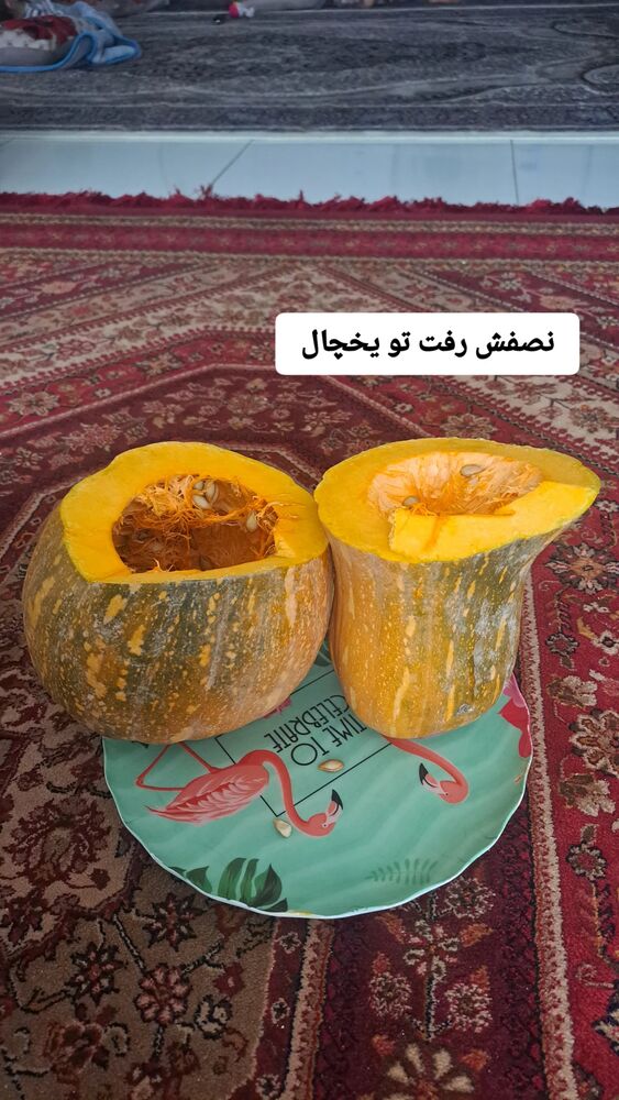  جدید ترین استوری اینستاگرام الهه خانم