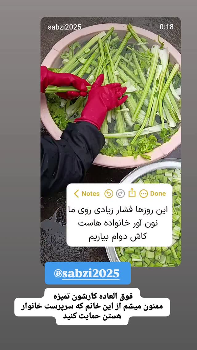  جدید ترین استوری اینستاگرام الهه خانم