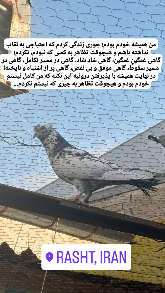  جدید ترین استوری اینستاگرام امیر سالم