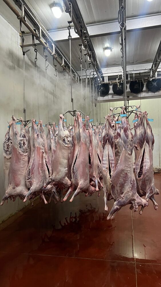  جدید ترین استوری اینستاگرام مهدی ذکایی
