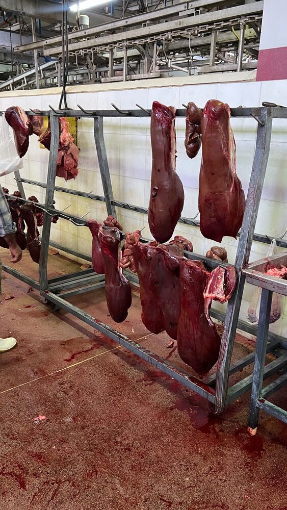  جدید ترین استوری اینستاگرام مهدی ذکایی