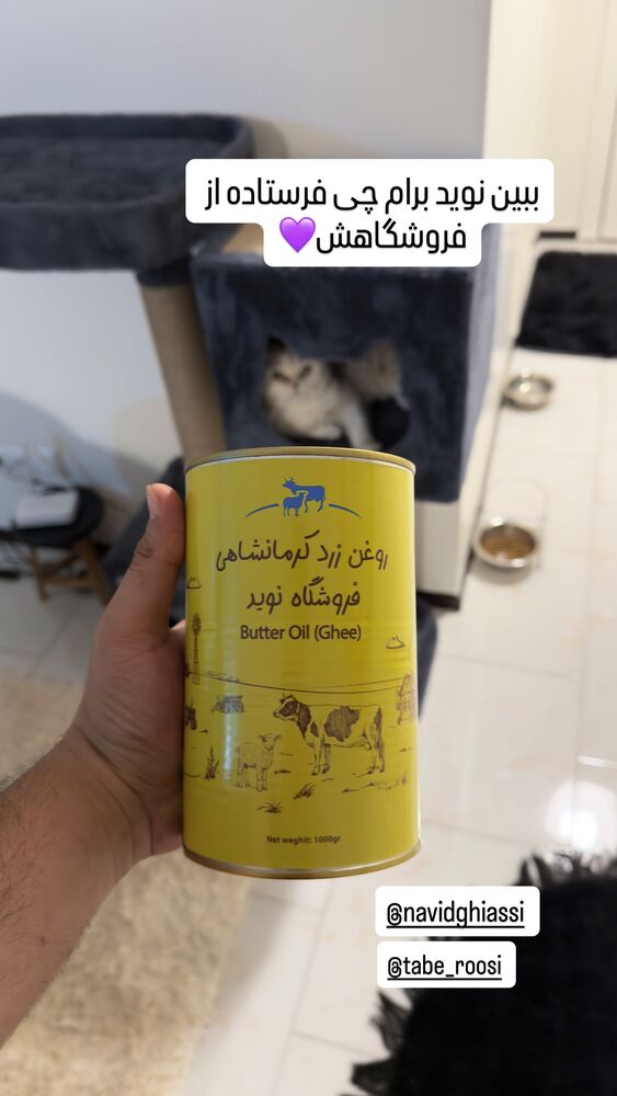  جدید ترین استوری اینستاگرام اردلان