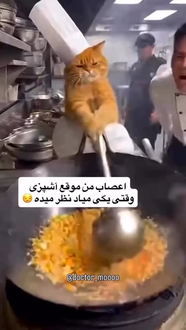  جدید ترین استوری اینستاگرام اردلان