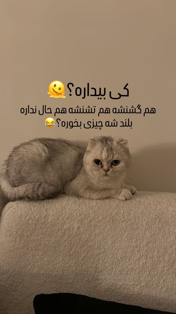  جدید ترین استوری اینستاگرام اردلان