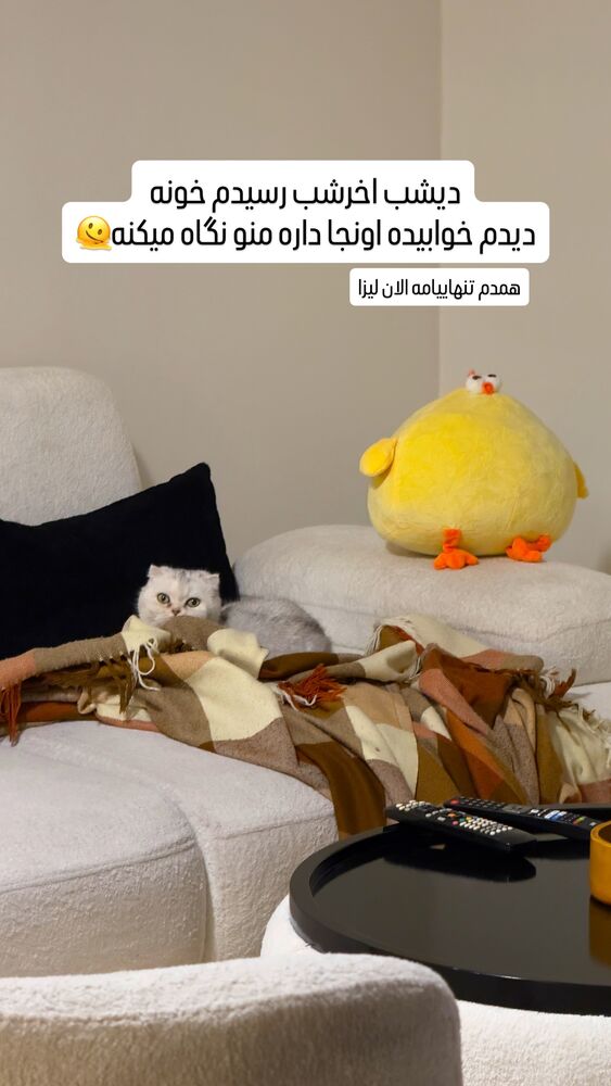  جدید ترین استوری اینستاگرام اردلان
