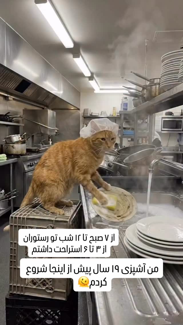  جدید ترین استوری اینستاگرام اردلان