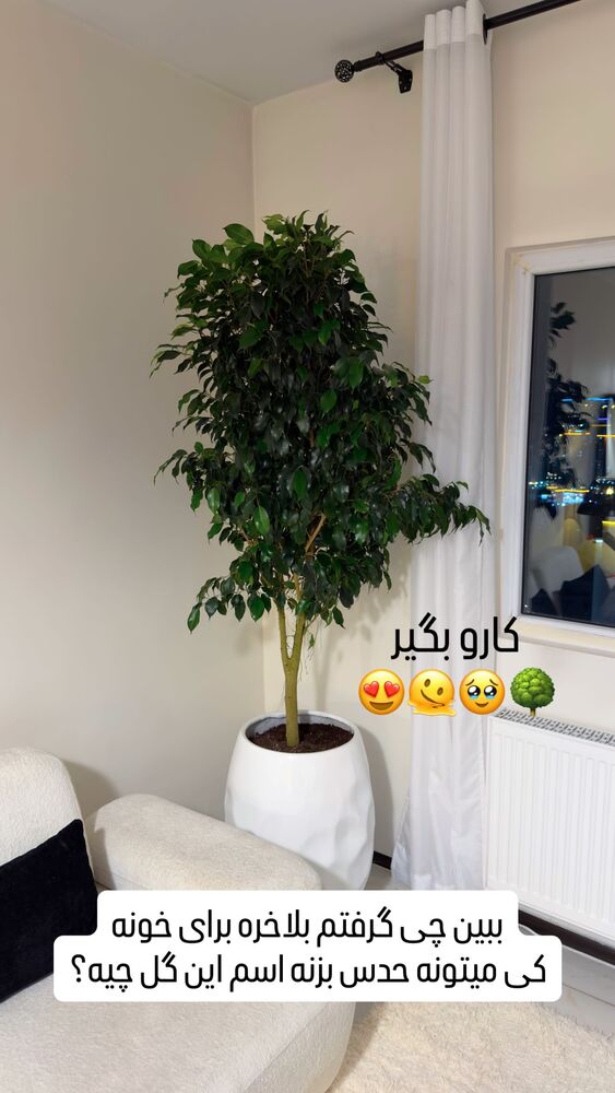  جدید ترین استوری اینستاگرام اردلان