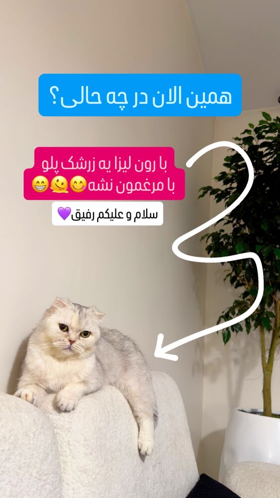  جدید ترین استوری اینستاگرام اردلان