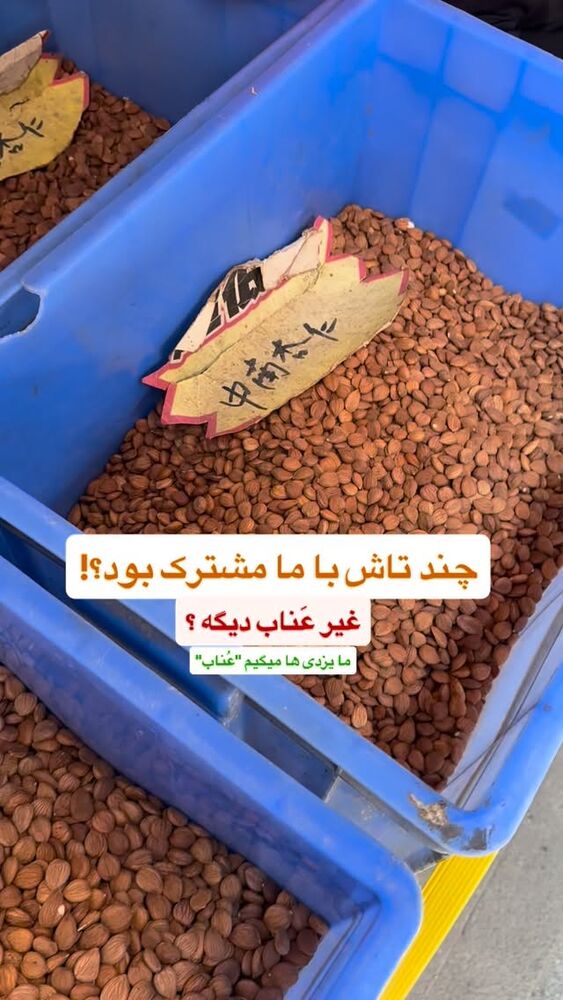  جدید ترین استوری اینستاگرام امین خاکیان
