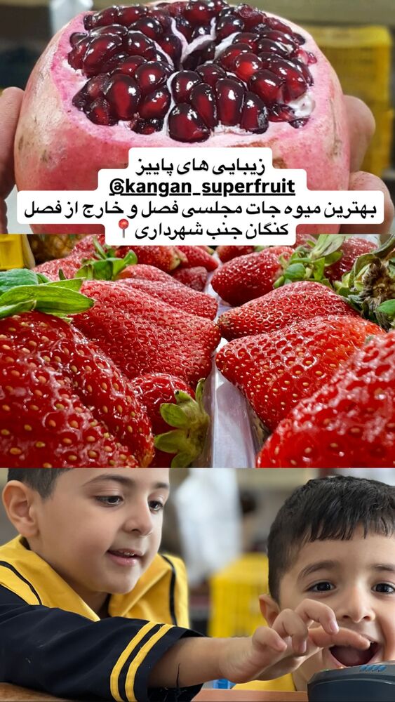 جدید ترین استوری اینستاگرام فاطیما