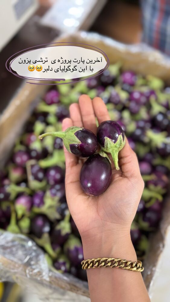  جدید ترین استوری اینستاگرام فاطیما