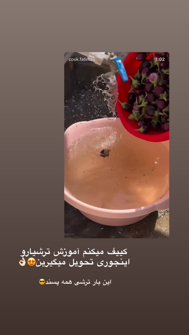  جدید ترین استوری اینستاگرام فاطیما